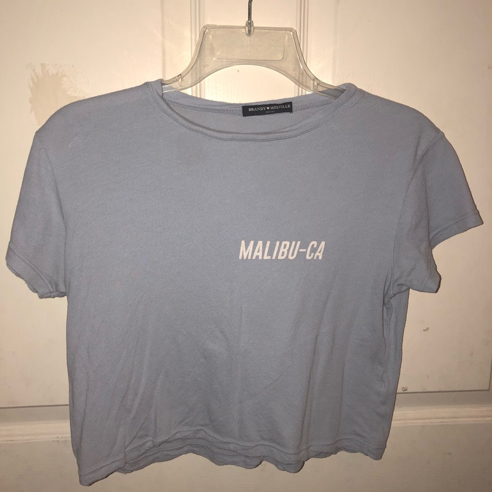 Brandy Melville Malibu crop top